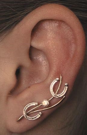 Horseshoe Ear Climber Earrings Large